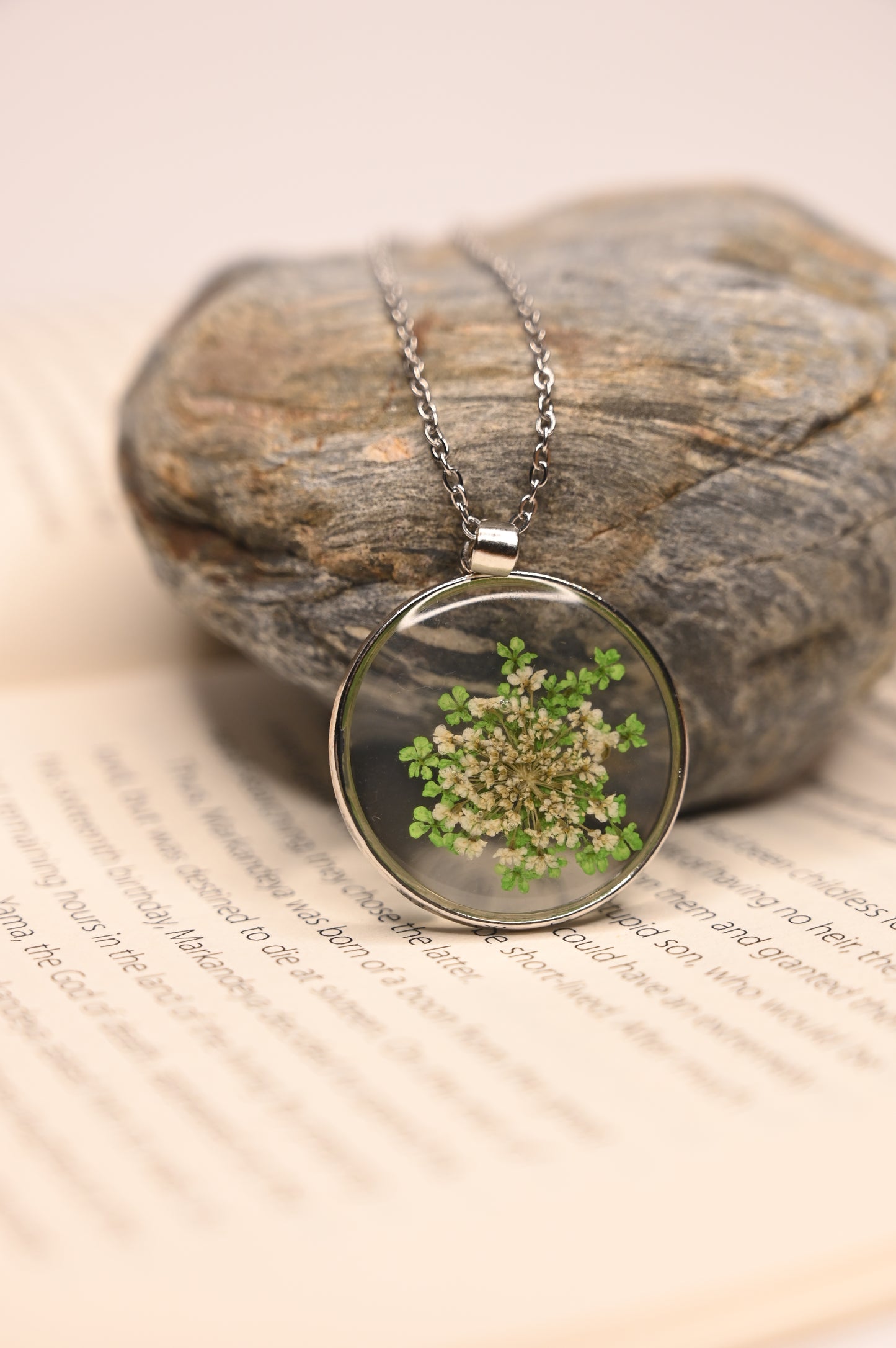 Verdelle-Himalayan white and green flower